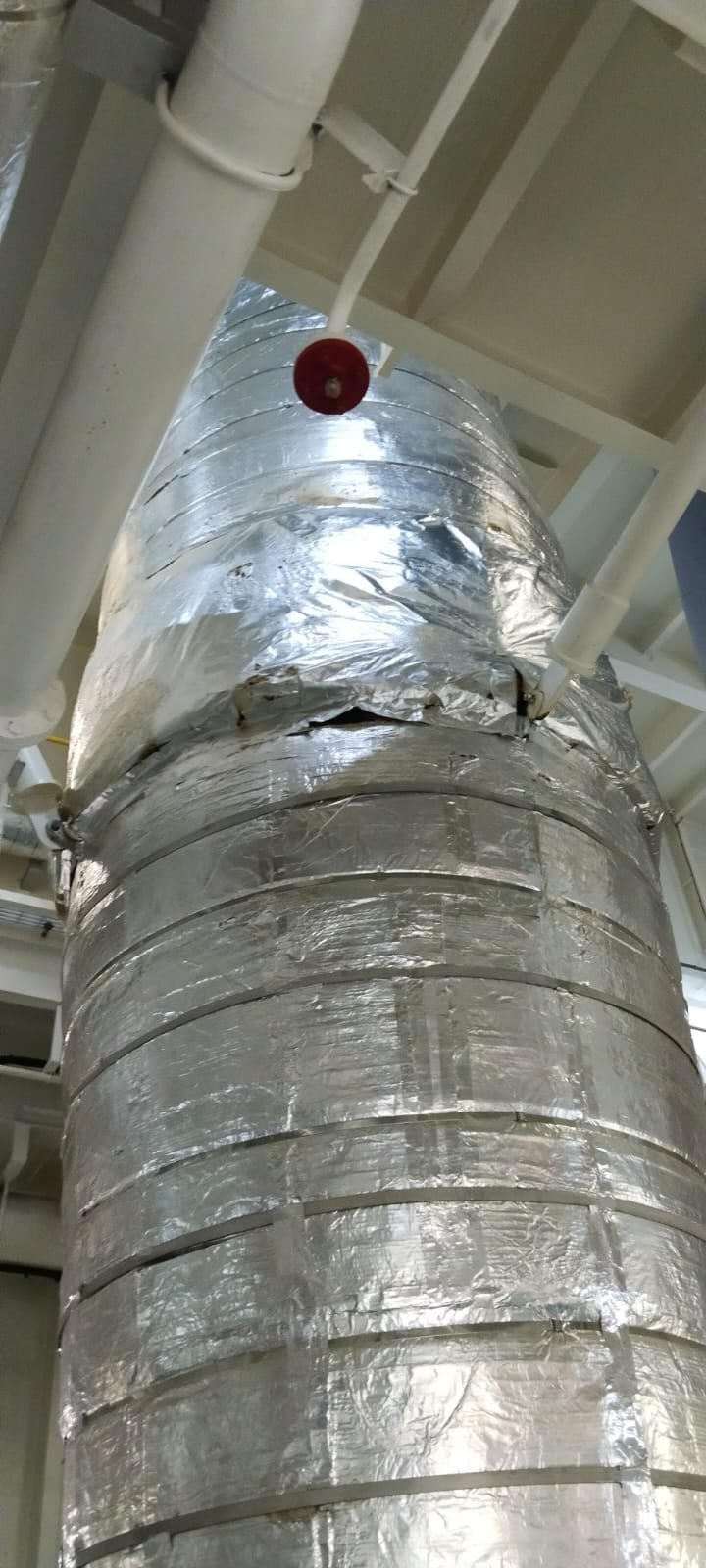Exhaust pipe insulation